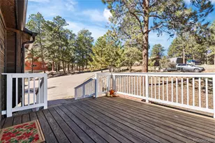 294 Kudu Trail, Bailey, CO 80421 - Photo 4
