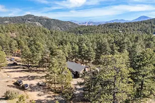 294 Kudu Trail, Bailey, CO 80421 - Photo 38