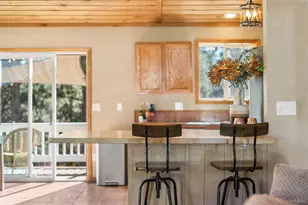 294 Kudu Trail, Bailey, CO 80421 - Photo 12