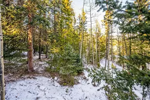 2334 Sinton Rd, Evergreen, CO 80439 - Photo 20