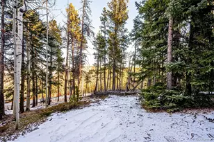 2334 Sinton Rd, Evergreen, CO 80439 - Photo 26