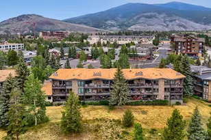 160 E La Bonte Street, Dillon, CO 80435 - Photo 38