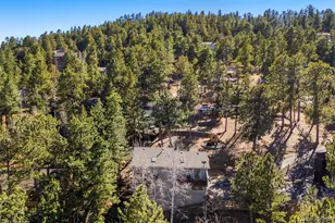 29895 Spruce Rd, Evergreen, CO 80439 - Photo 38