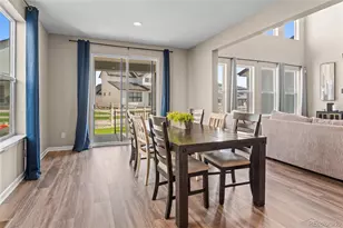 5909 Los Olivas Pt, Parker, CO 80134 - Photo 12