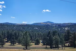 2628 Southpark Rd, Florissant, CO 80816 - Photo 14