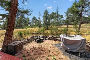 27231 Log Trail, Conifer, CO 80433 - Photo 26