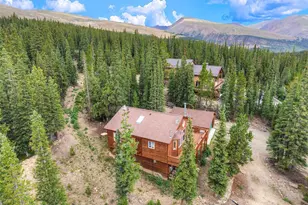 369 Prunes Pl, Fairplay, CO 80440 - Photo 24