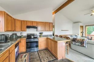 369 Prunes Pl, Fairplay, CO 80440 - Photo 6