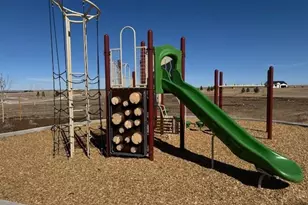 42979 Colonial Trl, Elizabeth, CO 80107 - Photo 30