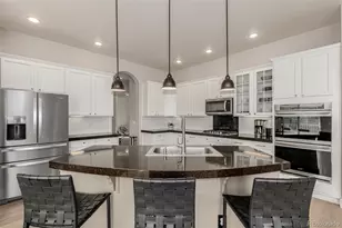 7224 Calcite Ct, Castle Rock, CO 80108 - Photo 8