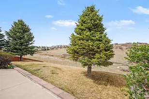 7427 Slate Ct, Castle Rock, CO 80108 - Photo 40