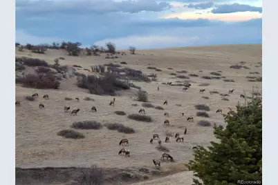 7427 Slate Court, Castle Rock, CO 80108 - Photo 48