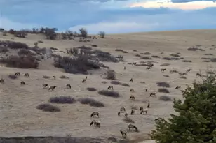 7427 Slate Ct, Castle Rock, CO 80108 - Photo 48