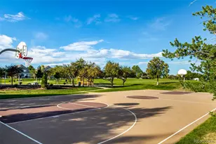 8463 Bed Straw St, Parker, CO 80134 - Photo 34