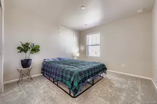 13449 Waterthrush St, Parker, CO 80134 - Photo 20