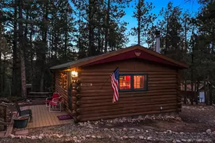 33885 La Plata Ln, Pine, CO 80470 - Photo 28