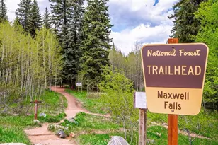 33885 La Plata Ln, Pine, CO 80470 - Photo 32