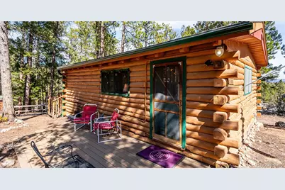 33885 La Plata Lane, Pine, CO 80470 - Photo 4