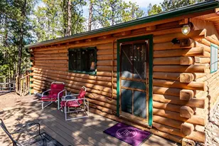 33885 La Plata Ln, Pine, CO 80470 - Photo 4