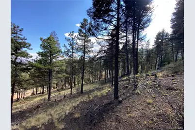 342 Ponderosa View, Manitou Springs, CO 80829 - Photo 10