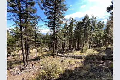342 Ponderosa View, Manitou Springs, CO 80829 - Photo 4