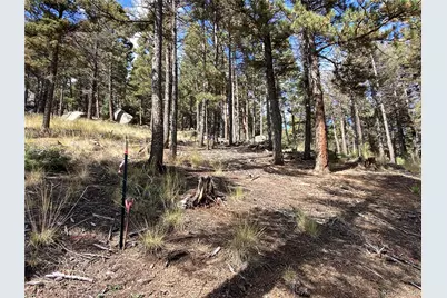 342 Ponderosa View, Manitou Springs, CO 80829 - Photo 14