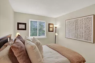 9689 Townsville Circle, Highlands Ranch, CO 80130 - Photo 16