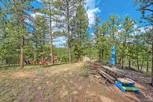 3550 Nova Rd, Pine, CO 80470 - Photo 28