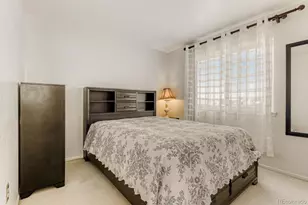 408 Sylvestor Trail, Highlands Ranch, CO 80129 - Photo 18