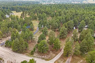 34525 Forest Park Dr, Elizabeth, CO 80107 - Photo 46