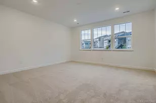 3916 Buttongrass Trail, Castle Rock, CO 80108 - Photo 8