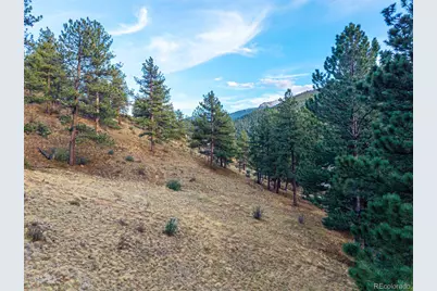 156 E Cline Drive, Shawnee, CO 80475 - Photo 8