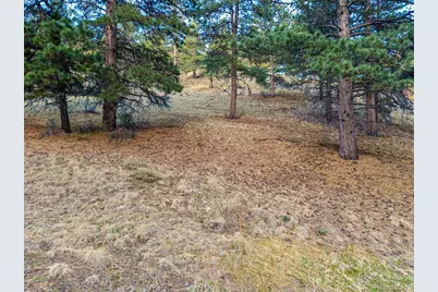 156 E Cline Drive, Shawnee, CO 80475 - Photo 20