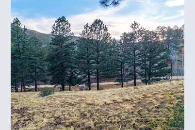 156 E Cline Drive, Shawnee, CO 80475 - Photo 6