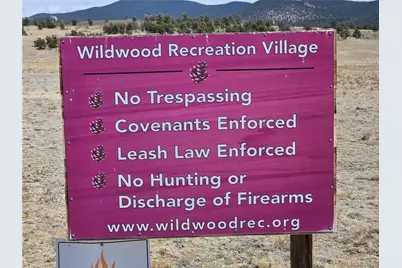 3489 Ute Trace, Hartsel, CO 80449 - Photo 8