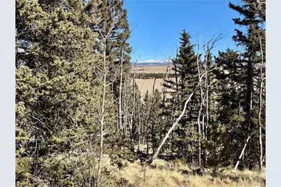 1872 High Creek Road, Fairplay, CO 80440 - Photo 22