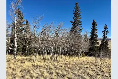 1872 High Creek Road, Fairplay, CO 80440 - Photo 20
