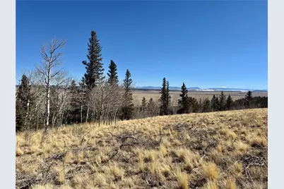 1872 High Creek Road, Fairplay, CO 80440 - Photo 26