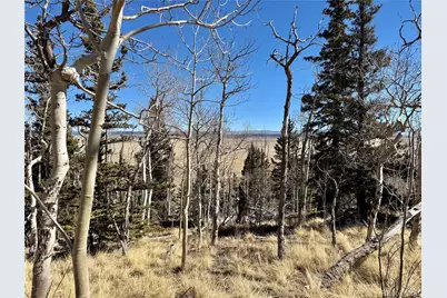 1872 High Creek Road, Fairplay, CO 80440 - Photo 14