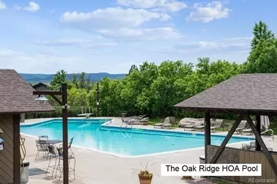 243 Dawson Drive, Castle Rock, CO 80104 - Photo 12