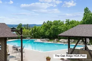 243 Dawson Dr, Castle Rock, CO 80104 - Photo 12