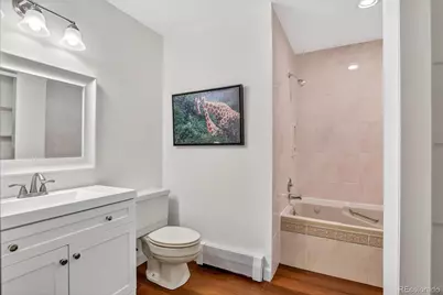 243 Dawson Drive, Castle Rock, CO 80104 - Photo 6