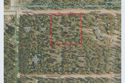 426 Sequoia Drive, Twin Lakes, CO 81251 - Photo 8