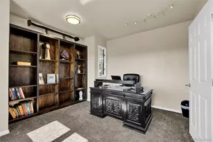 157 Cheney Pl, Castle Rock, CO 80104 - Photo 20