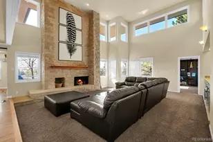 157 Cheney Pl, Castle Rock, CO 80104 - Photo 6