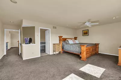 157 Cheney Place, Castle Rock, CO 80104 - Photo 12