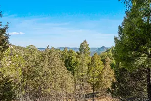 28100 Stonecrop Trail, Conifer, CO 80433 - Photo 8