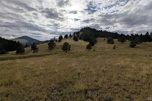 842 Monarch Dr, Cripple Creek, CO 80813 - Photo 1