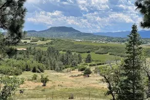 2938 Wolfensberger Rd, Sedalia, CO 80135 - Photo 1