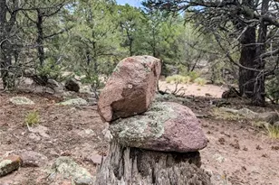 600 N Goldmine, Crestone, CO 81131 - Photo 1